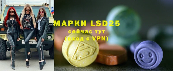 стаф Аркадак