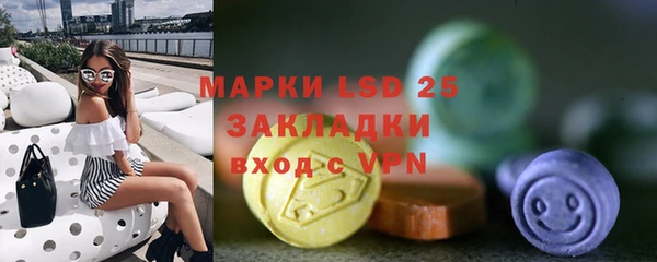 стаф Аркадак