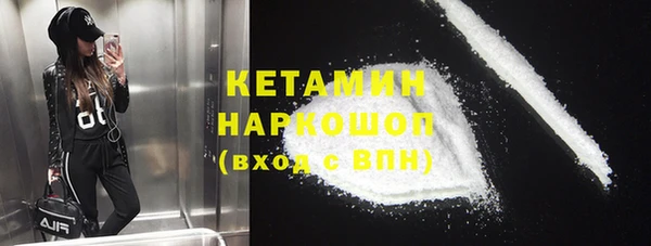 стаф Аркадак