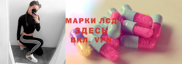 стаф Аркадак