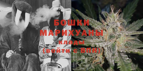 стаф Аркадак