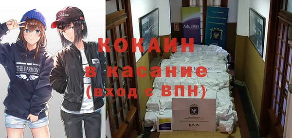 стаф Аркадак