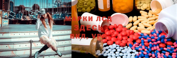 стаф Аркадак