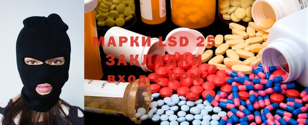 прущие грибы Богданович