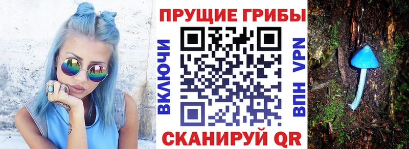 Псилоцибиновые грибы MAGIC MUSHROOMS  shop клад  Салехард 